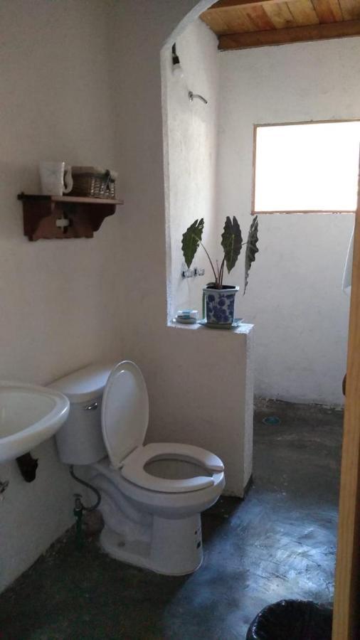 ホテル Casa De Kai マスンテ エクステリア 写真